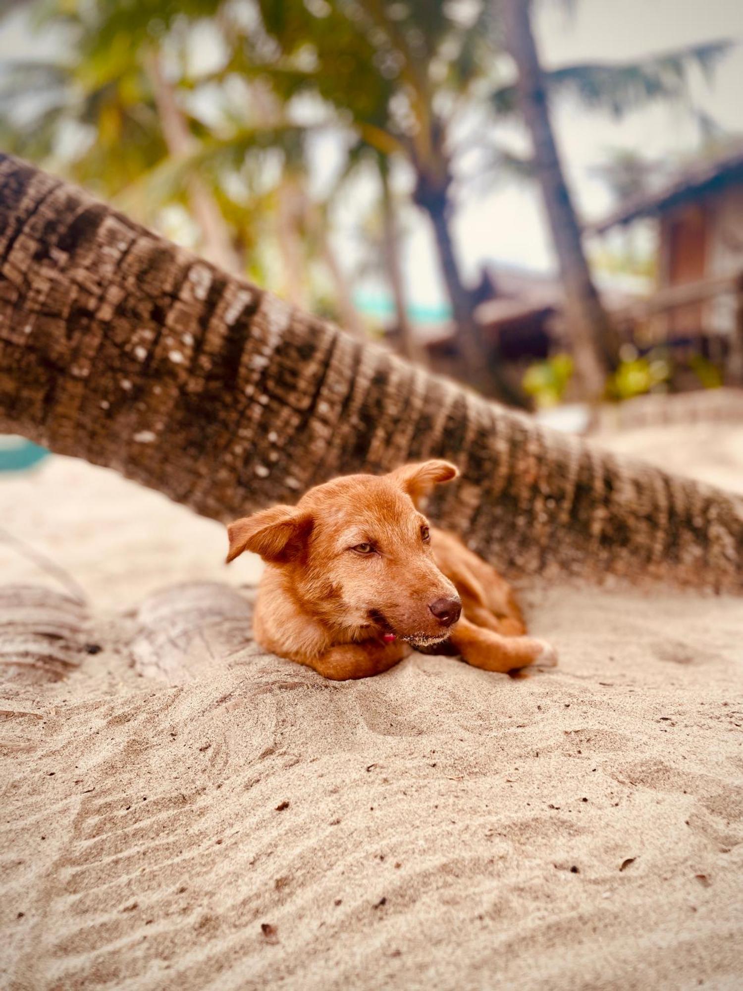 Amwani Breeze Apartment El Nido Ngoại thất bức ảnh